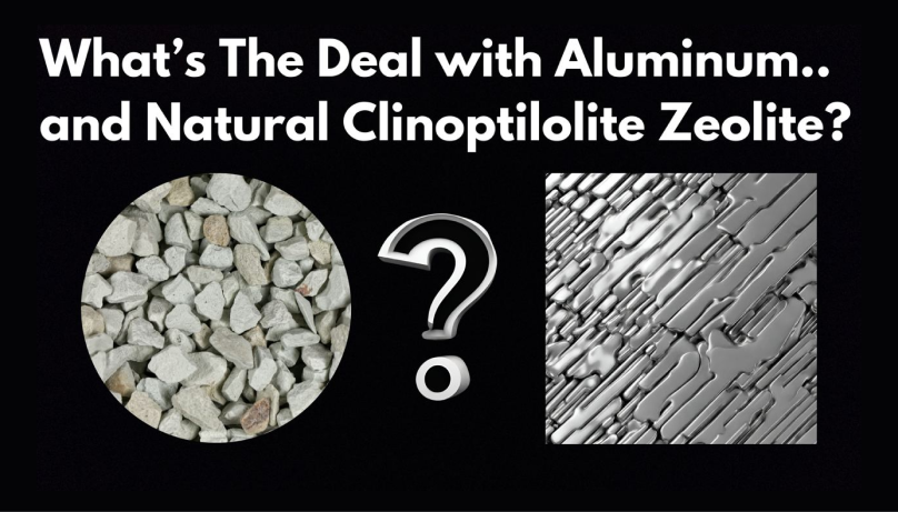 Modern Toxins Are Toxic